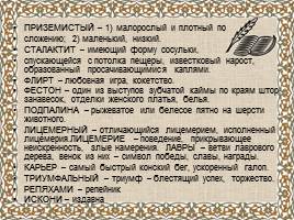 Александр Иванович Куприн «Барбос и Жулька», слайд 12