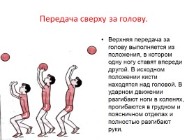 Техника безопасности в волейболе, слайд 8