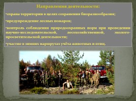 Заповедник «Кологривский лес», слайд 18