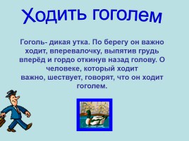 Творческий проект ученика по русскому языку «Фразеологизмы», слайд 21