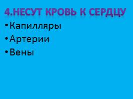 Строение и работа сердца 9 класс, слайд 6