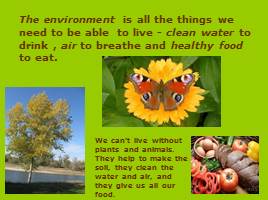 Environmental Protection, слайд 3