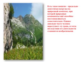 Природные комплексы предгорий и гор, слайд 22