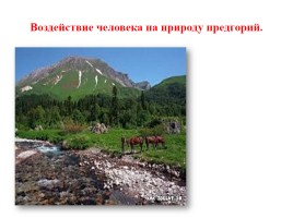 Природные комплексы предгорий и гор, слайд 3