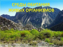 Среды обитания живых организмов, слайд 7