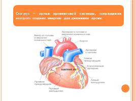 Первая медицинская помощь при острой сердечной недостаточности и инсульте, слайд 6