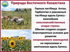 ЭГХ, промышленность и сельское хозяйство Восточного Казахстана, слайд 10