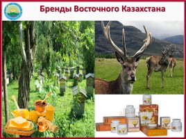ЭГХ, промышленность и сельское хозяйство Восточного Казахстана, слайд 31