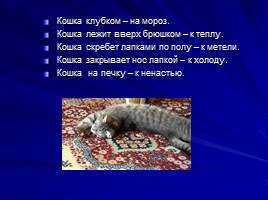 Про кошек и собак - Окружающий мир 2 класс, слайд 6