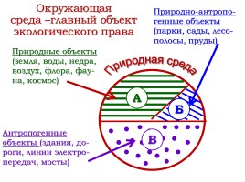 Экологическое право, слайд 6