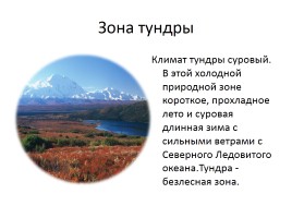 Природа России, слайд 6
