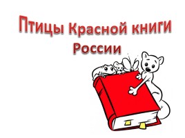 Птицы Красной книги России, слайд 1