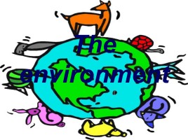 The environment, слайд 1