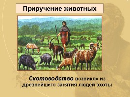 Древние земледельцы и скотоводы, слайд 9