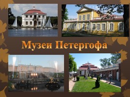 Музеи Петергофа, слайд 1