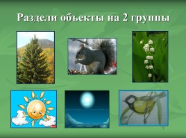 Урок окружающего мира во 2 классе «Какие бывают растения?», слайд 3