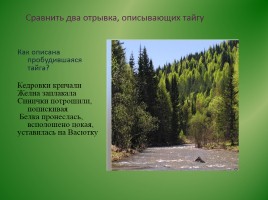 Виктор Петрович Астафьев «Васюткино озеро» (анализ), слайд 13
