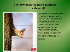 Виктор Петрович Астафьев «Васюткино озеро» (анализ), слайд 18