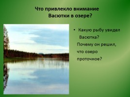 Виктор Петрович Астафьев «Васюткино озеро» (анализ), слайд 21