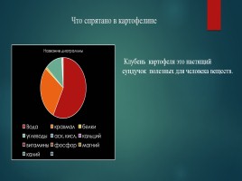 Исследовательская работа «Картофель - главный овощь на нашем столе», слайд 9