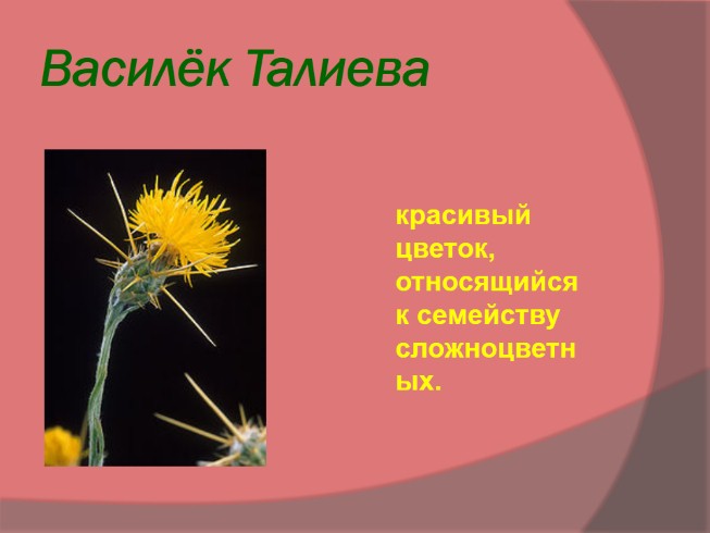 Презентация - Красная книга «Растений и животных»