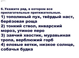 Тест по теме «Имя прилагательное - Смысловые разряды», слайд 18