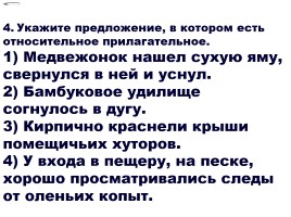 Тест по теме «Имя прилагательное - Смысловые разряды», слайд 5