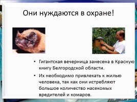 Класс млекопитающие или звери, слайд 45