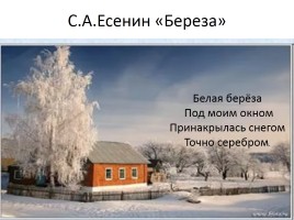 С.А. Есенин «Береза», слайд 2