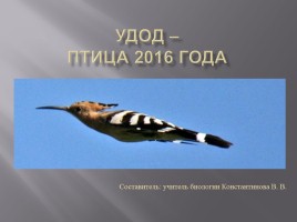 Удод - птица 2016 года, слайд 1