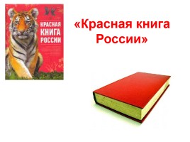 Проектная деятельность «Красная книга России», слайд 1