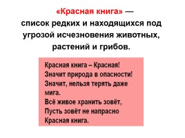 Проектная деятельность «Красная книга России», слайд 3