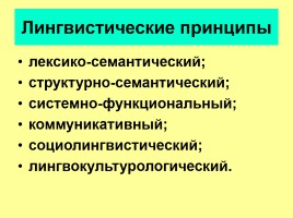 Лекция «Принципы обучения русскому языку», слайд 4