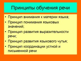 Лекция «Принципы обучения русскому языку», слайд 8