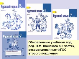 Лекция «Средства обучения русскому языку - Средства наглядности», слайд 8