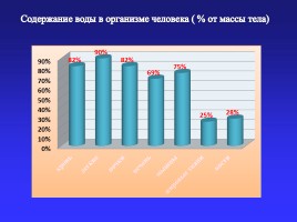 Творческий проект «Чудо-вода», слайд 12