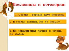 Слово «Собака» (русский язык), слайд 9