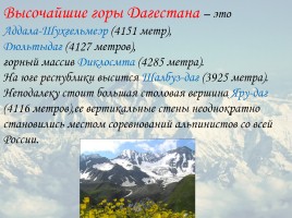 Классный час «2016 год гор в Дагестане», слайд 14
