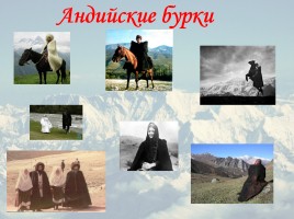 Классный час «2016 год гор в Дагестане», слайд 29