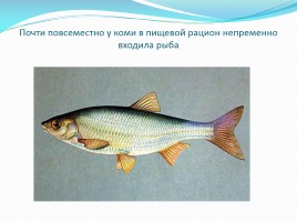 Традиционная пища «Рыба», слайд 2