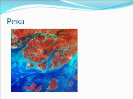 Окружающий мир 2 класс «Обитатели водоёмов», слайд 10