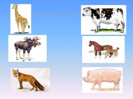 Окружающий мир 3 класс «Животноводство», слайд 6