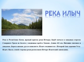 Реки Урала, слайд 11