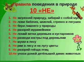 Безопасные каникулы, слайд 8