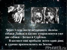 Животные в космосе, слайд 9