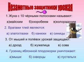 Незаметные защитники урожая, слайд 2