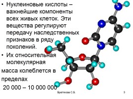 Нуклеиновые кислоты (органическая химия), слайд 3