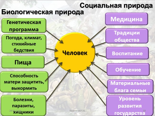 Презентация - Биосоциальная природа человека
