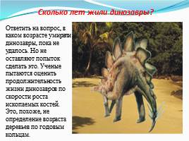 Динозавры - животные прошлого, слайд 13