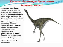 Динозавры - животные прошлого, слайд 18